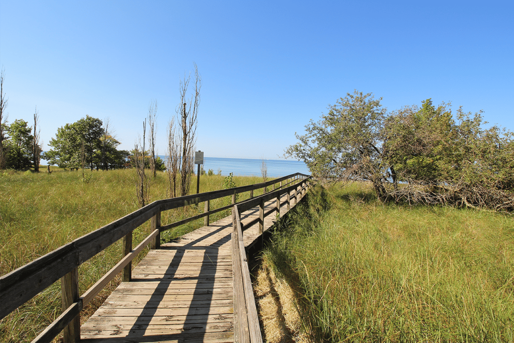 Within short walking distance to Bronson Park